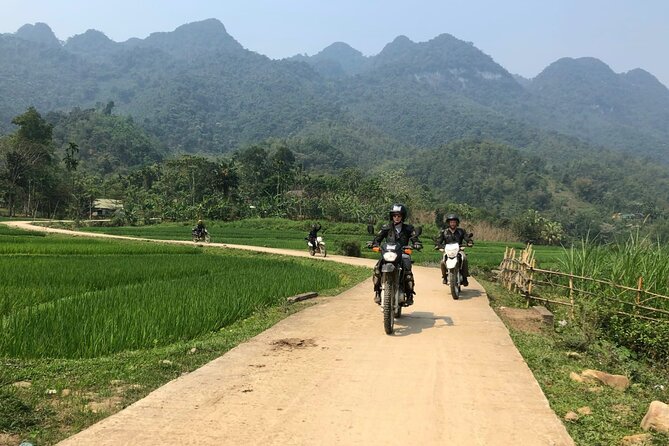 Explore Rice Terrace Pu Luong Ninh Binh Ha Long 4 Days 3 Night - Day 4: Cruising Ha Long Bay