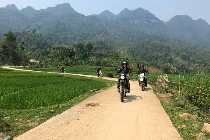 Explore Rice Terrace Pu Luong Ninh Binh Ha Long 4 Days 3 Night - Guest Experiences and Feedback