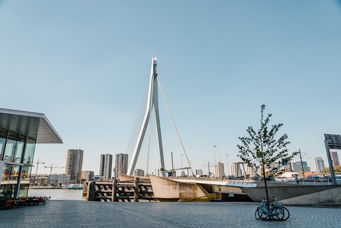 Explore Rotterdam'S History and Architecture on Private Walking Tour - Discovering Rotterdams Cultural Landmarks