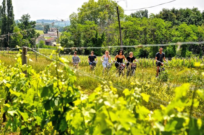 Explore Saint-Émilion on E-Bikes: Small Group, Half-Day Tour - Itinerary Highlights