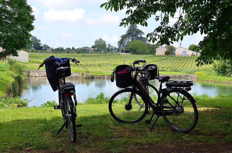 Explore Saint-Émilion on E-Bikes: Small Group, Half-Day Tour - Safety and Requirements