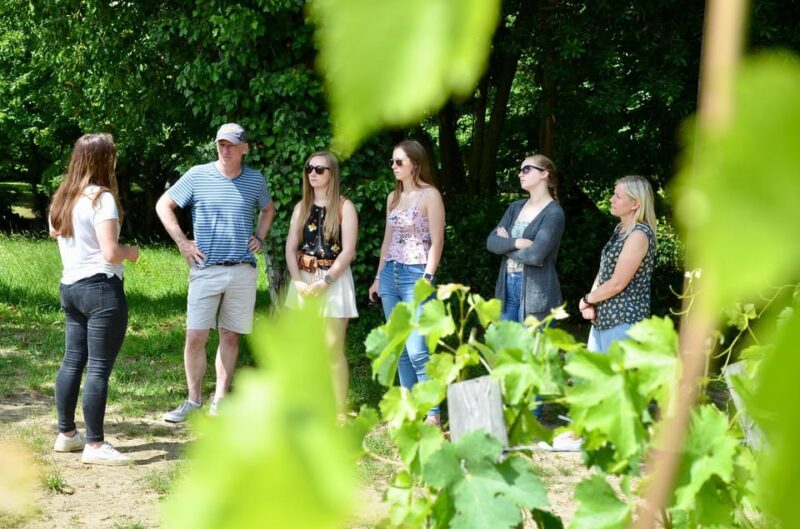 Explore Saint-Émilion on E-Bikes: Small Group, Half-Day Tour - Preparation and Recommendations