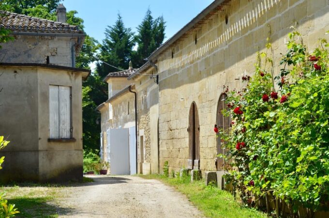 Explore Saint-Émilion on E-Bikes: Small Group, Half-Day Tour - Exploring Saint-Émilions Vineyards on E-Bikes