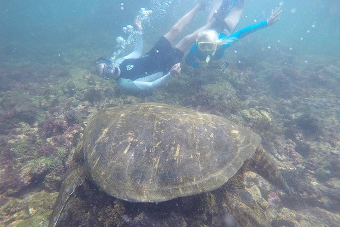 Explore San Cristobal & Santa Cruz Galapagos Islands - 5 Days - Booking and Contact