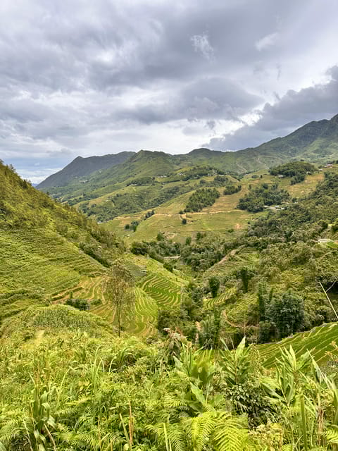 Explore Sapa by Trekkingadventures, Mountain,Rice Fields - Customer Feedback