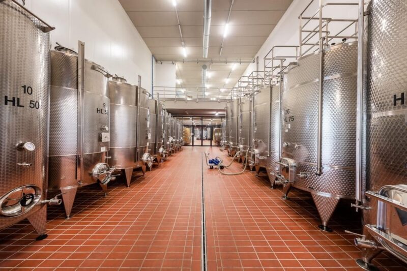 Explore & Savor: Dynamic Wine Tasting at Cantina Moscone - The Perfect Atmosphere for Tasting