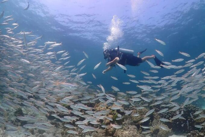 Explore Scuba Diving at Racha Yai Island From Phuket - Scuba Diving Equipment and Certification