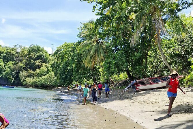 Explore Secret Beaches in Grenada - A Deep Dive into the Hidden Beaches Tour