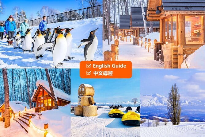 Explore Shikotsu Ice Festival (Day Tour) - Highlights of the Tour