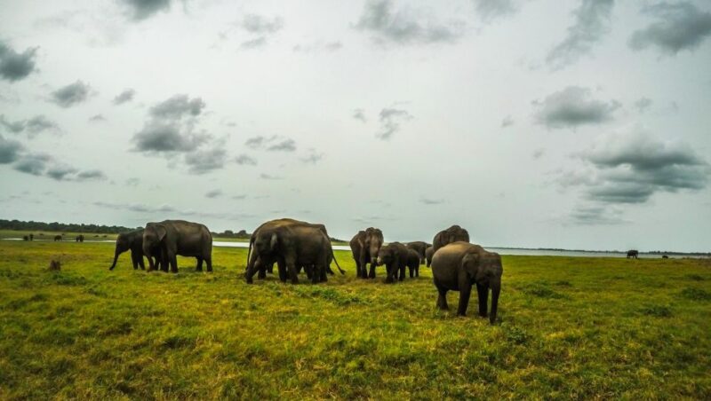 Explore Sigiriya, Kandy,Nuwaraeliya,Galle From Colombo - UNESCO World Heritage Sites