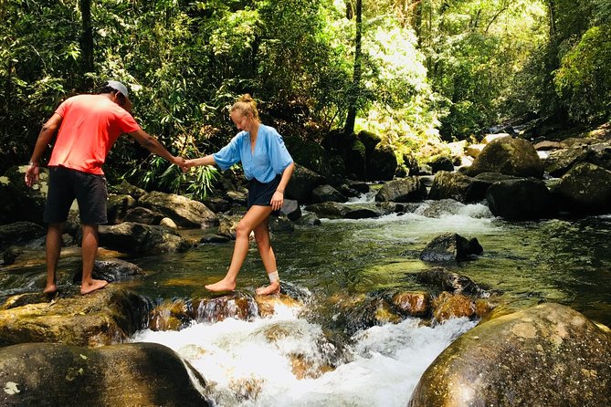 Explore Singharaja Forest Reserve (mirissa/weligama & Galle) - Good To Know