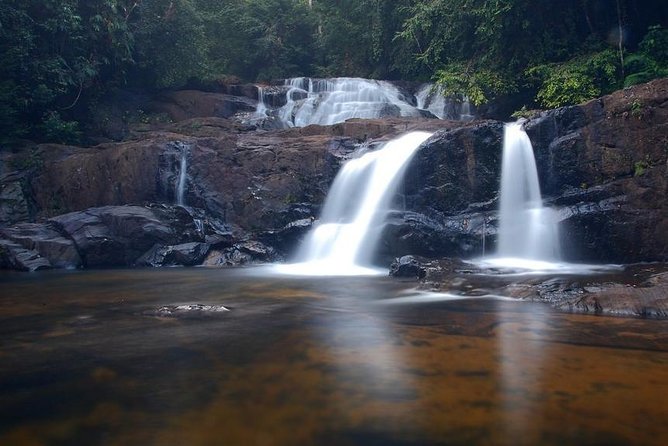 Explore Singharaja Forest Reserve (mirissa/weligama & Galle) - Accessibility and Participation