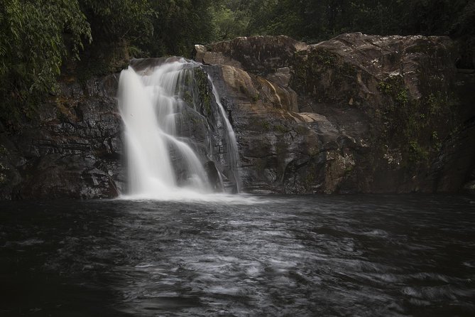 Explore Sinharaja Rainforest - Discovery Tour (Half Day) - Environment and Weather