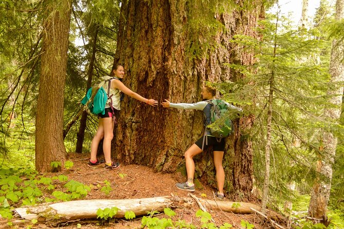 Explore Snoqualmie, Waterfalls and an Ancient Forest - Key Points