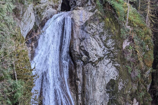 Explore Snoqualmie, Waterfalls and an Ancient Forest - Booking Information