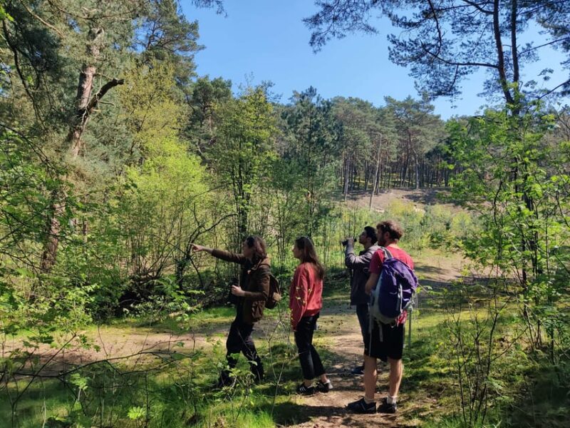 Explore Sobieszewo Island: Nature Walk & Wildlife Tour - Key Points