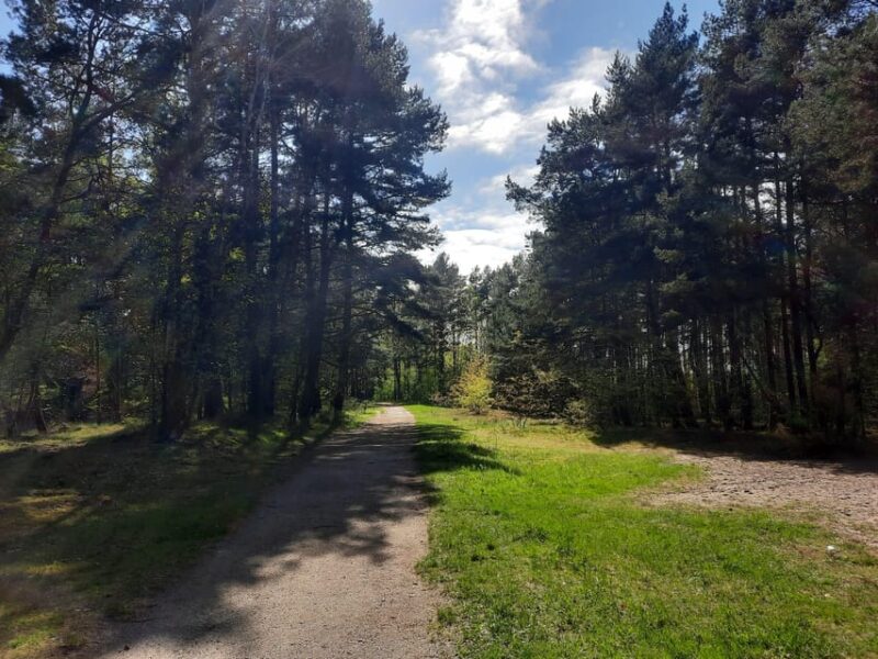 Explore Sobieszewo Island: Nature Walk & Wildlife Tour - Wildlife Experience