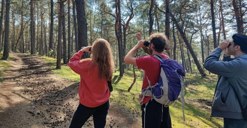 Explore Sobieszewo Island: Nature Walk & Wildlife Tour - Guided Tour Features