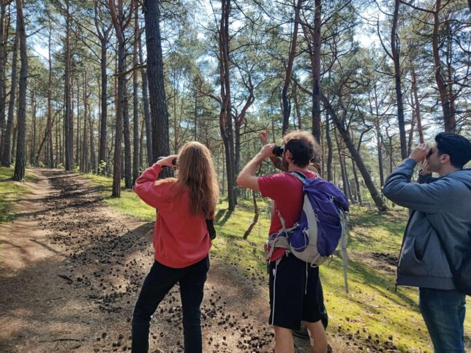 Explore Sobieszewo Island: Nature Walk & Wildlife Tour - Customer Feedback