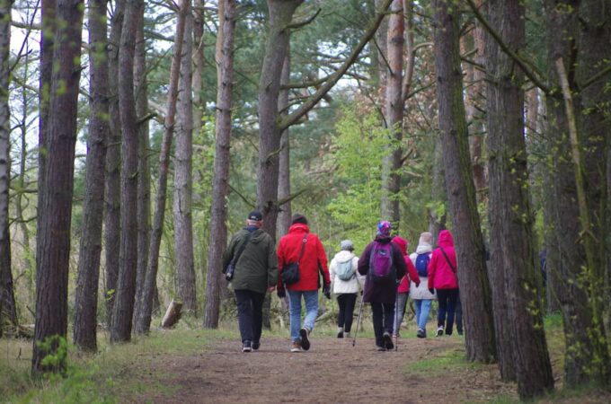 Explore Sobieszewo Island: Nature Walk & Wildlife Tour - Majestic White-Tailed Eagles