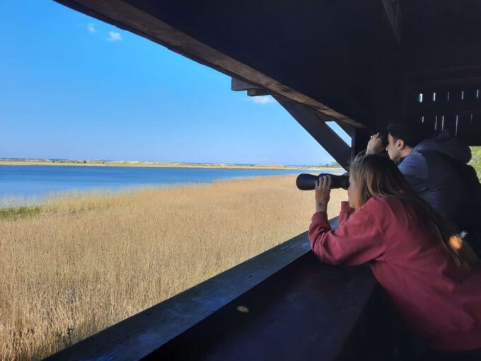 Explore Sobieszewo Island: Nature Walk & Wildlife Tour - Engaging Nature Commentary