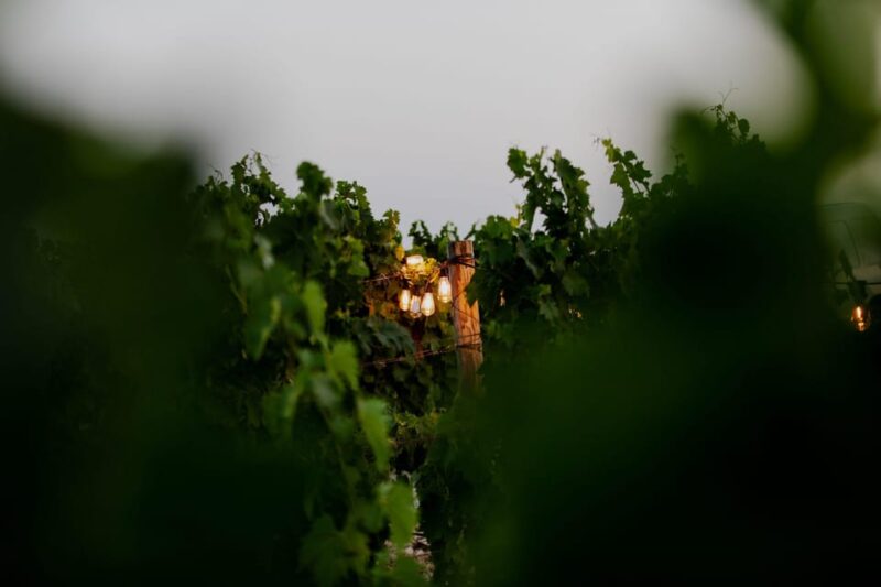 Explore Split, Trogir With Lunch at Kastel Sikuli Winery - Pickup Location and Duration