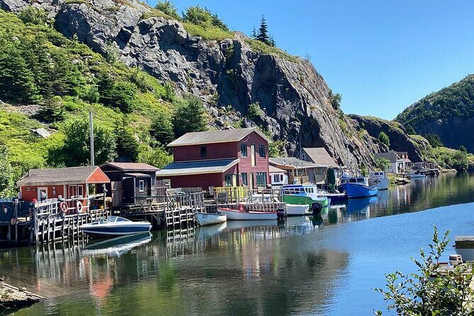 Explore St. John's Scenic Bus Tour to Cape Spear and Quidi Vidi - Key Points