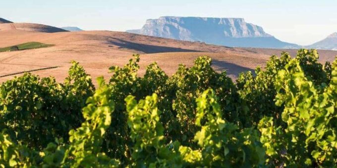Explore Stellenbosch, Paarl, & Franschhoek Private Wine Tour - Frequently Asked Questions