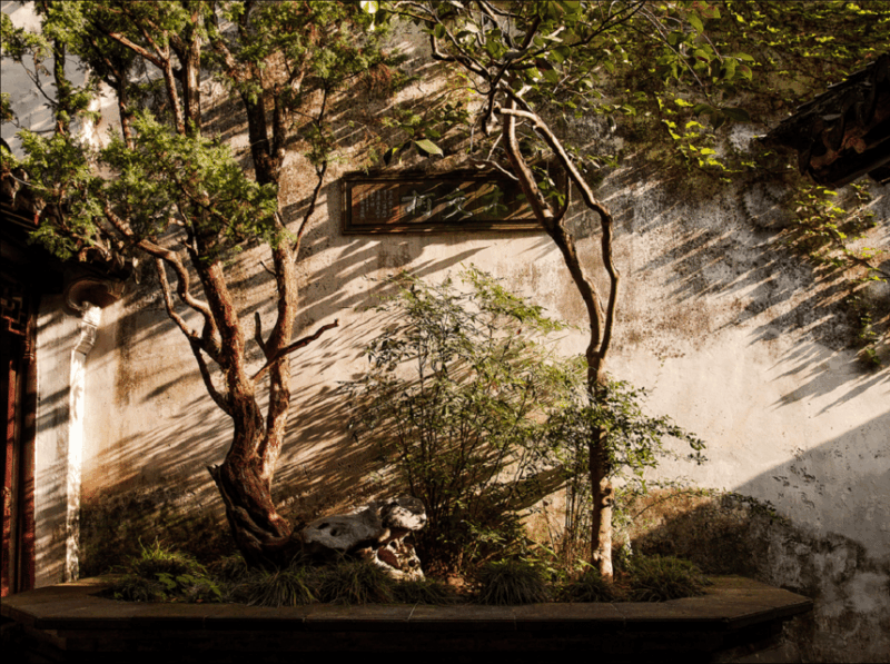 Explore Suzhous Hidden Gardens&Enchanting Tongli Watertown - Discover the Charm of Tongli