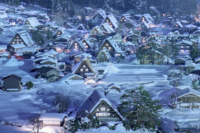 Explore Takayama and Shirakawa Tesla Tour With Accommodation - Inclusions
