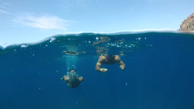 Explore Tenerife With the Snorkel Kit - Experience Highlights