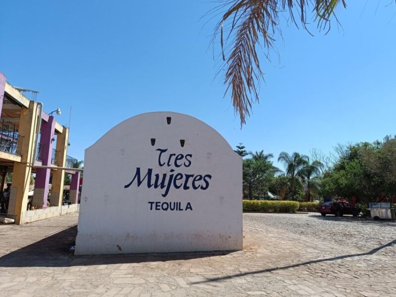 Explore Tequila: Private Trip From Guadalajara - Distillery Visits and Tasting