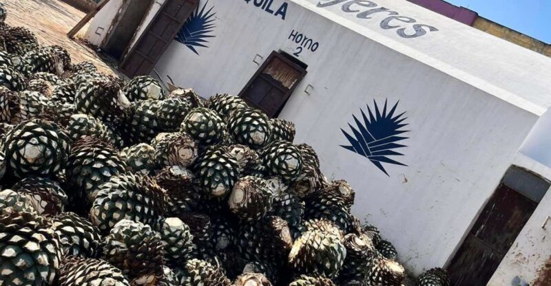 Explore Tequila: Private Trip From Guadalajara - Optional Destinations and Experiences