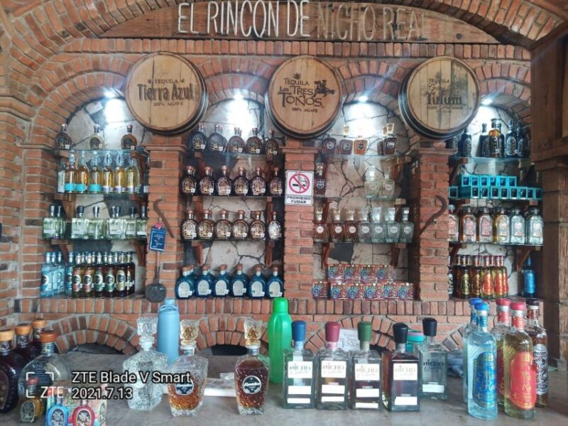 Explore Tequila: Private Trip From Guadalajara - Highlights of the Tour