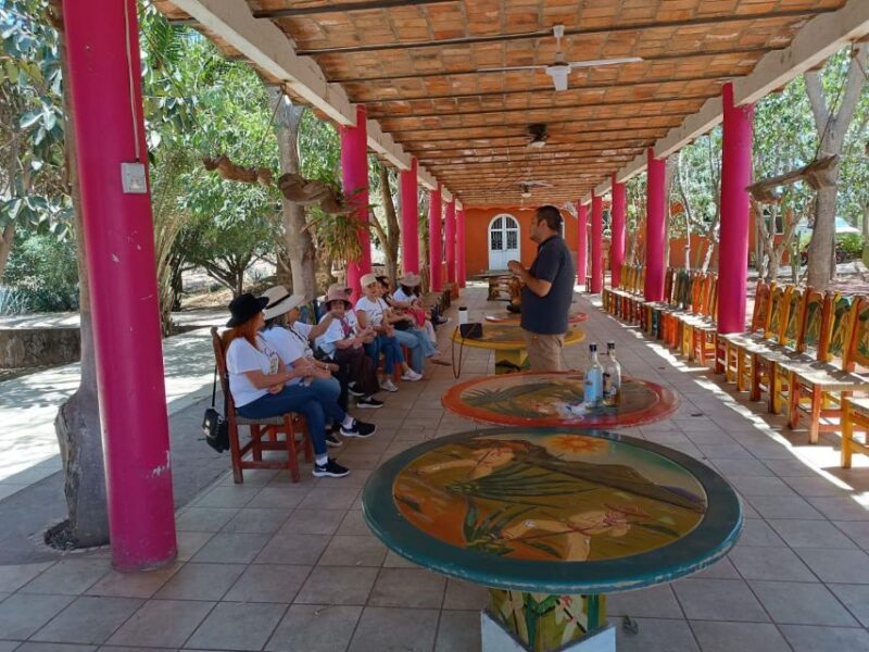 Explore Tequila: Private Trip From Guadalajara - Pickup and Drop-off Details