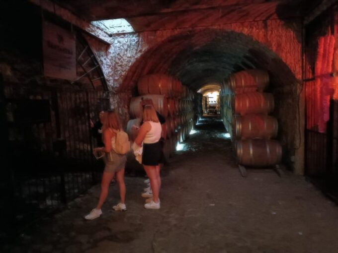Explore Tequila: Private Trip From Guadalajara - Age Restrictions and Recommendations