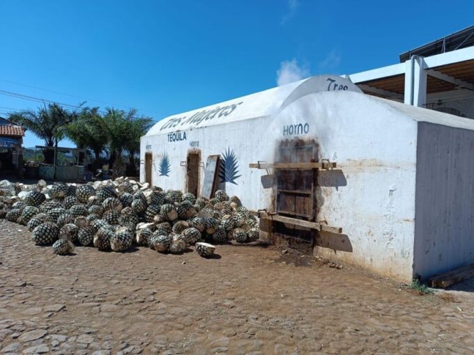 Explore Tequila: Private Trip From Guadalajara - Itinerary Flexibility and Personalization
