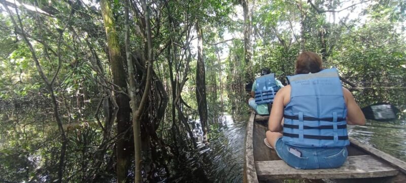 EXPLORE THE AMAZON - Key Points