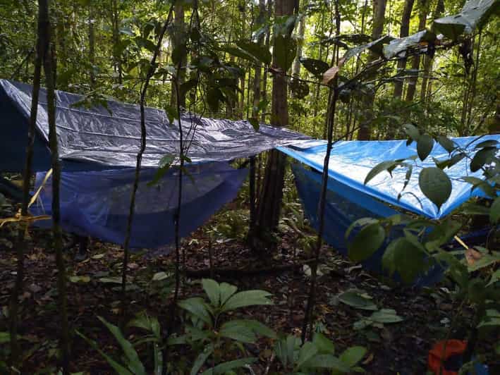 EXPLORE THE AMAZON - Itinerary Highlights
