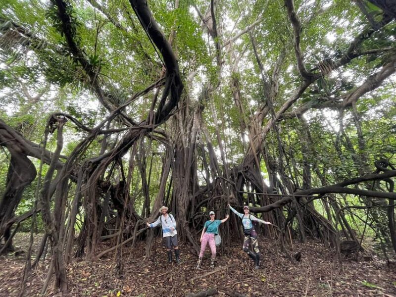 EXPLORE THE AMAZON - Experience Highlights