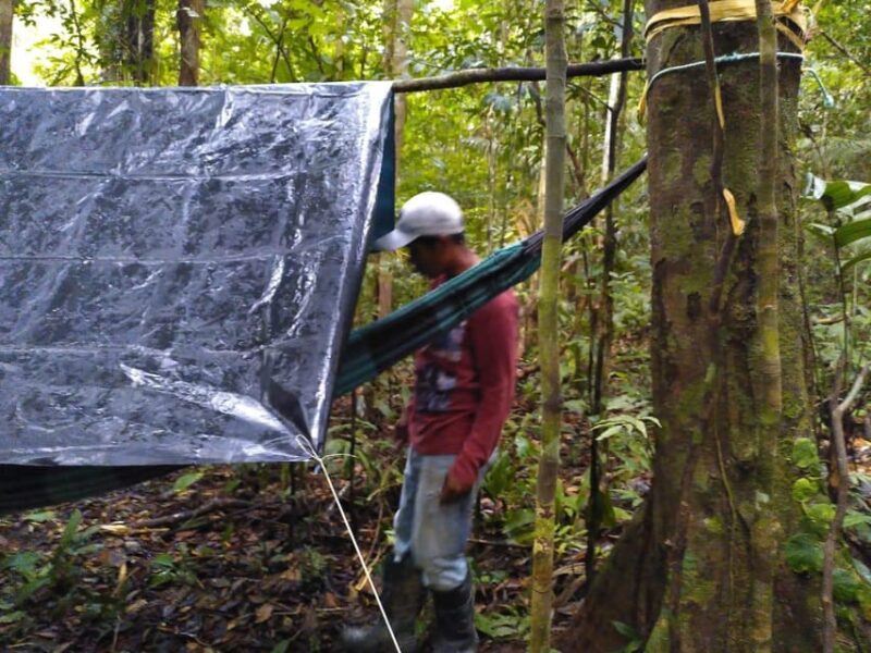 EXPLORE THE AMAZON - Discover the Amazon