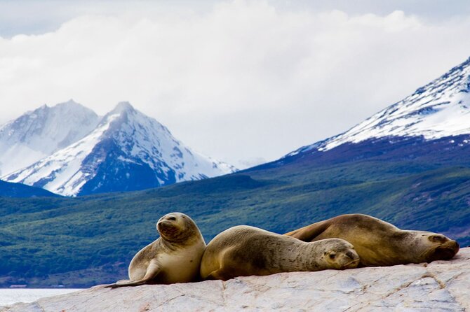 Explore the Beagle Channel: Navigate and Trek the Bridges Islands - Itinerary and Highlights