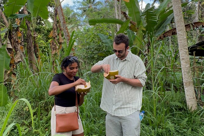 Explore the Beaten Path of North Ubud - Key Points