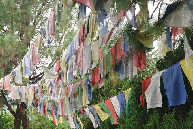 Explore the Beauty of Champa Devi: A Rewarding Hiking Experience - Health and Safety Considerations
