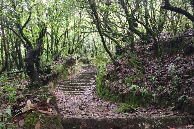 Explore the Beauty of Champa Devi: A Rewarding Hiking Experience - Memorable Moments
