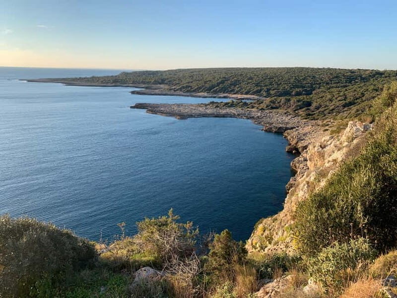 Explore the Beauty of Porto Selvaggio Bike Tour - Culinary Delights at Masseria Brusca