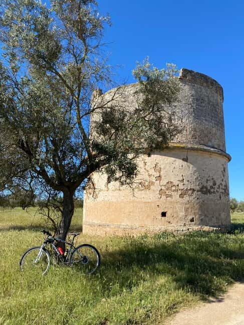Explore the Beauty of Porto Selvaggio Bike Tour - Exploring Ancient Villas and Traditional Masserias