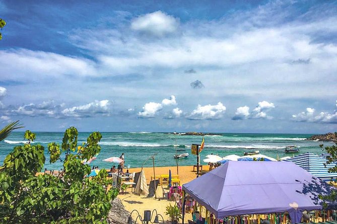 Explore the Beauty of South Coast in One Day - Itinerary and Timing
