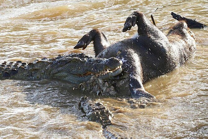 Explore The Beauty Of Udawalawe National Park From South Coast During 01 Day - FAQs