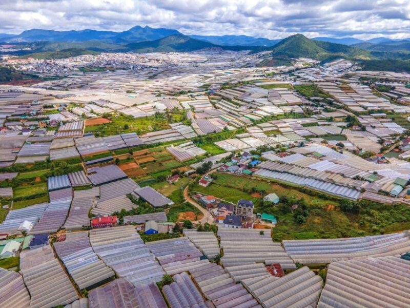 Explore the Best of Dalat Countryside Tour (Private Car) - Itinerary Highlights